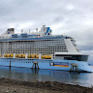 Meet your Posher, Bing